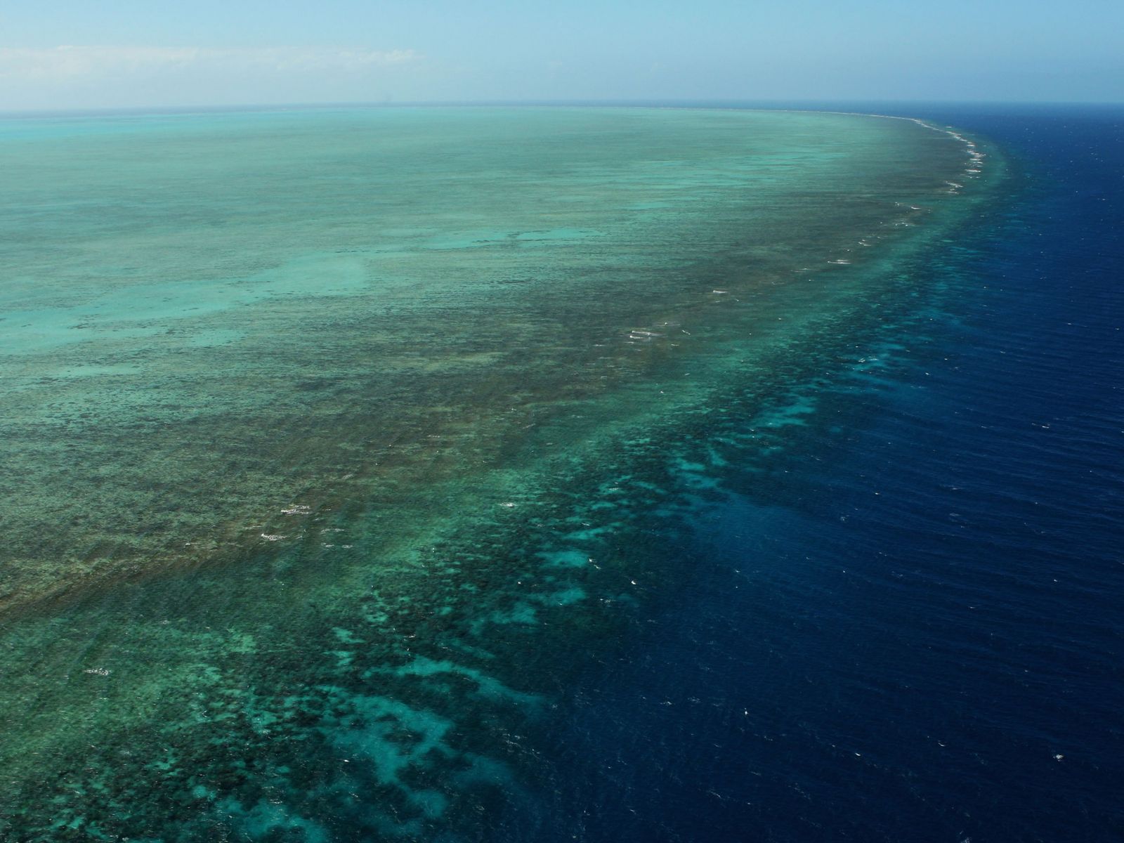آغاز مطالعات نجات زیستگاه‌های مرجانی خارگ 