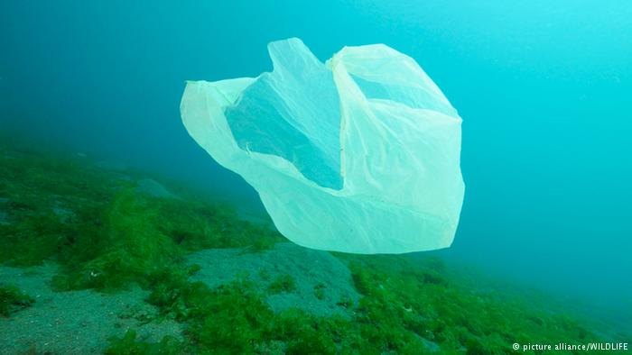 انباشت زباله در دریا: یک معضل جدی جهانی