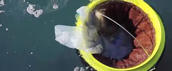 طراحی سطل شناور برای جمع‌آوری زباله اقیانوس‌ها