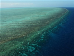 آبسنگ‌های مرجانی در بندر چابهار احیا می‌شود