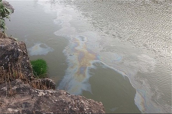 میزان خسارت زیست محیطی رودخانه دز اعلام می‌شود