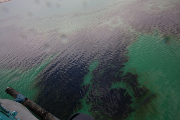 تهدید محیط زیست دریایی هرمزگان با آلودگی‌‌‌‌‌‌‌های نفتی