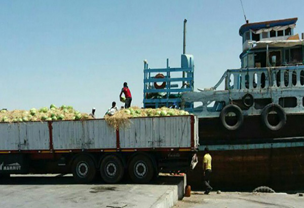 صادرات محصولات کشاورزی بوشهر از گمرک گناوه به قطر