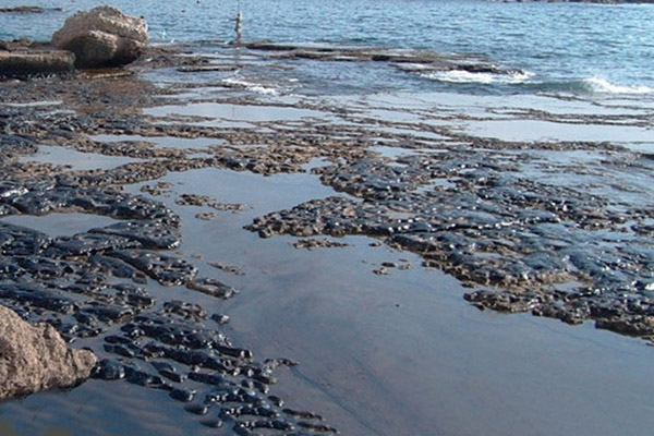 آلودگی نفتی گسترده در سواحل بندر ماهشهر
