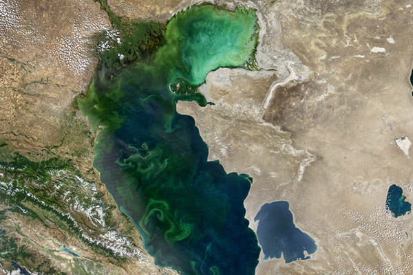 مطالعه مشترک گسل‌های فعال و تغییرات تراز آب دریای خزر