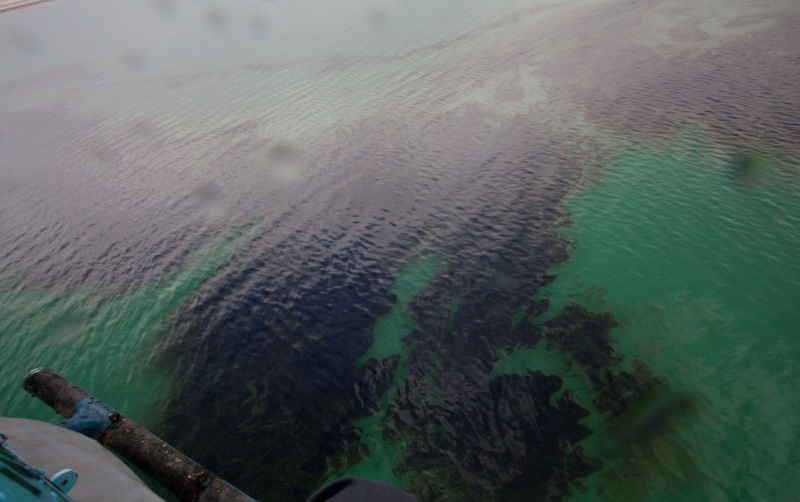 زهر پسماند نفتی در کام آب‌های نیلگون خلیج‌ فارس